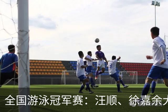 全国游泳冠军赛：汪顺、徐嘉余大幅领先夺冠